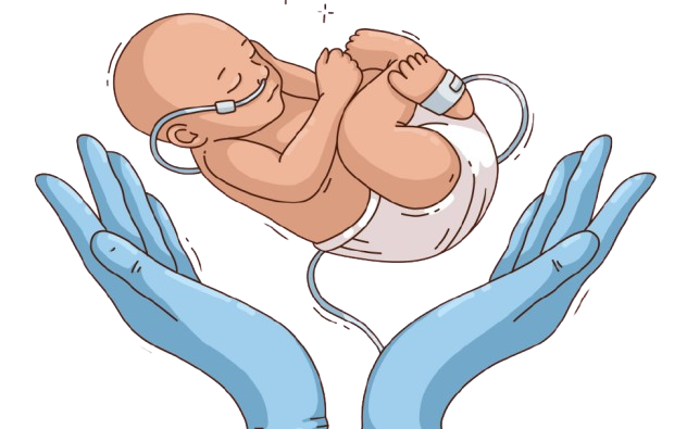 🍼 Disfagia Neonatal